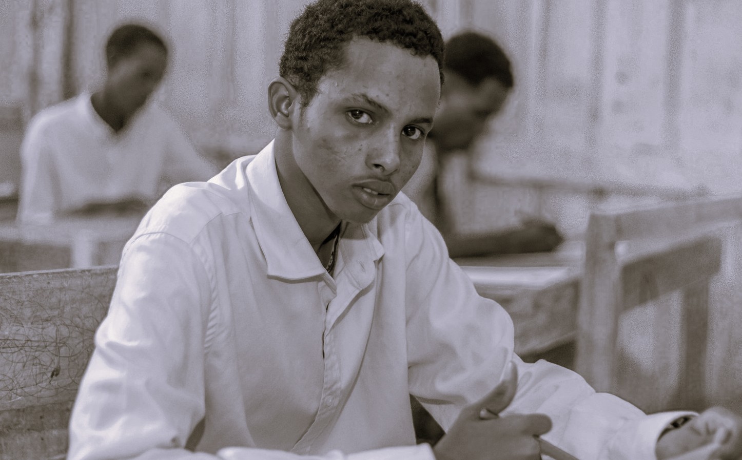 505991761 1036356621932155 8686396157636906871